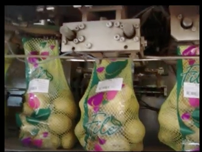 PATATES YIKAMA MAKİNASI